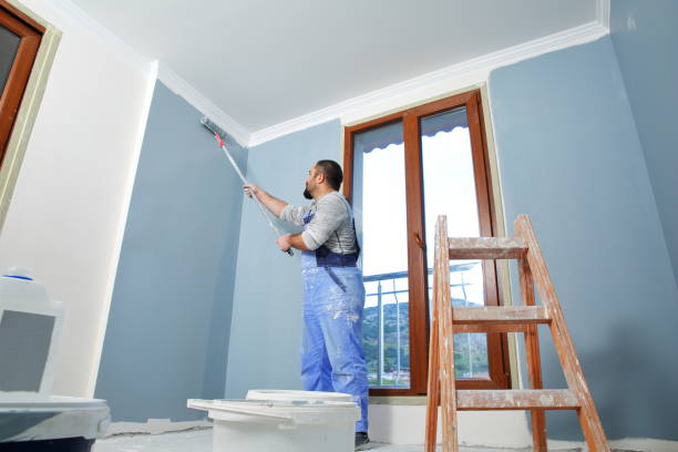  Rockton, IL Drywall & Painting Services Pros